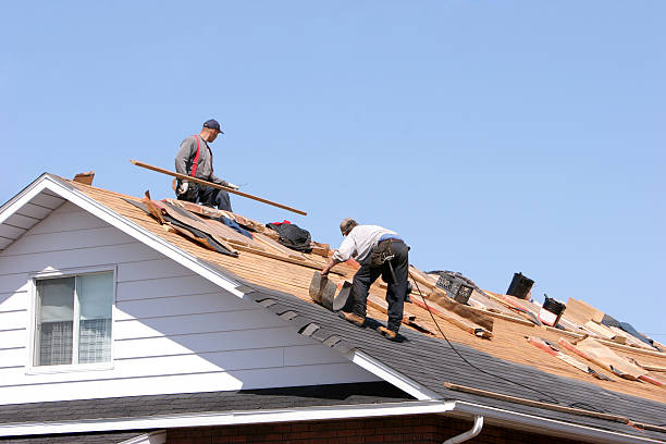 Best Roof Maintenance and Cleaning  in Vail, CO